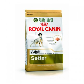 ROYAL CANIN SETTER KG 3